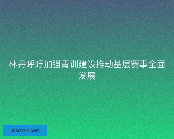 林丹呼吁加强青训建设推动基层赛事全面发展